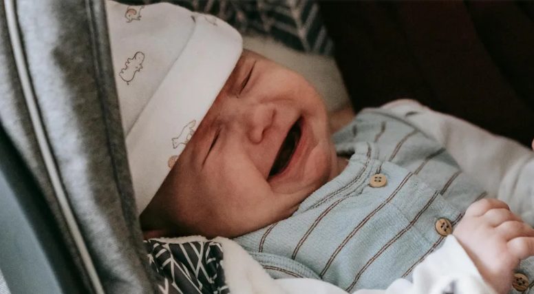 הכריחו אותי ואת הנכדה הקטנה שלי לצאת מהקפה אל הגשם – ואז נכנסה הצדק.