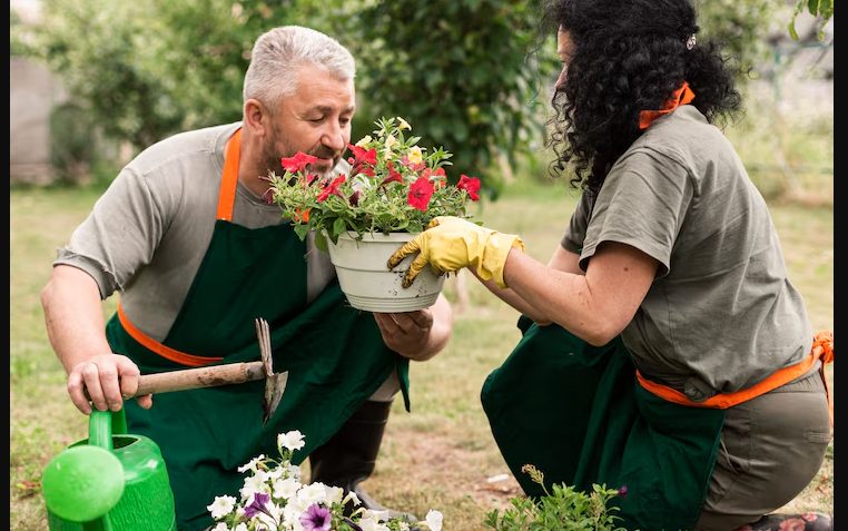 המשפחה העשירה לעגה במשך שנים לגנן הזקן שלה – ואז הגיע עורך דין עם מסמכים.